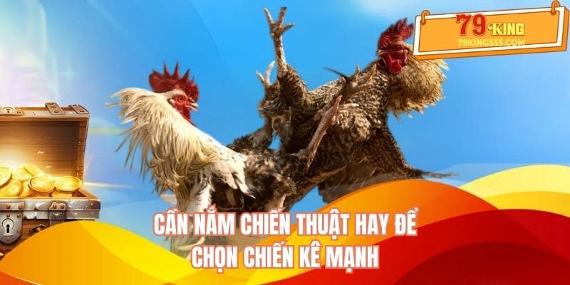Cần nắm chiến thuật hay để chọn chiến kê mạnh Cần nắm chiến thuật hay để chọn chiến kê mạnh