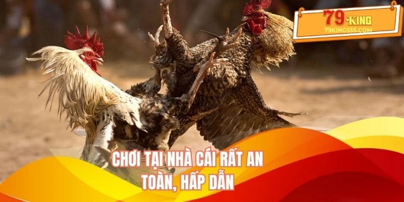 Chơi tại nhà cái rất an toàn, hấp dẫn Chơi tại nhà cái rất an toàn, hấp dẫn