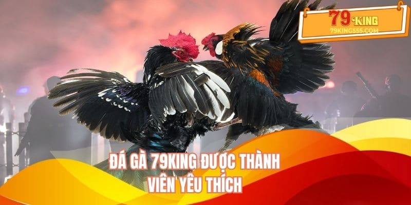 Đá gà 79KING được thành viên yêu thích Đá gà 79KING được thành viên yêu thích