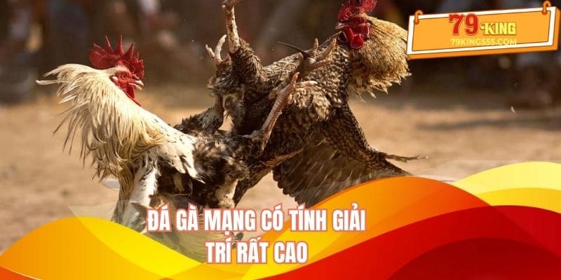 Đá gà mạng có tính giải trí rất cao Đá gà mạng có tính giải trí rất cao
